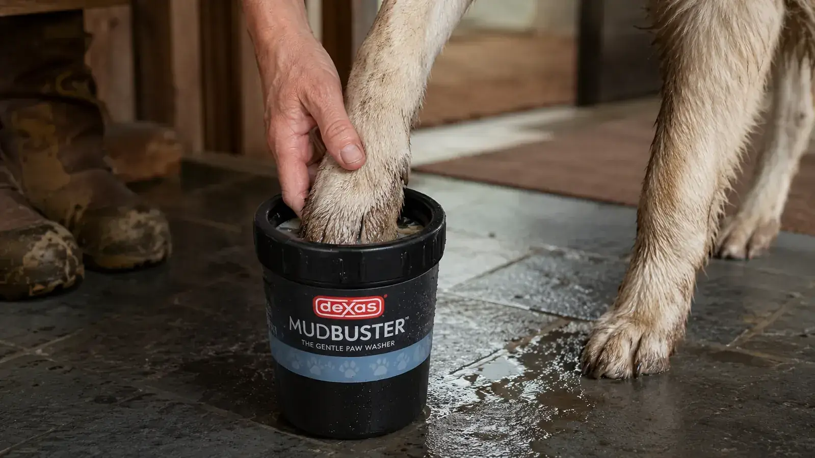 A hand lowering a large dog's muddy paw into a black MudBuster cup filled with water