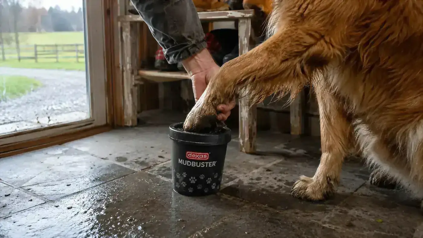 A hand holding a large dog's paw over a black MudBuster cup filled with water on a slate mudroom floor