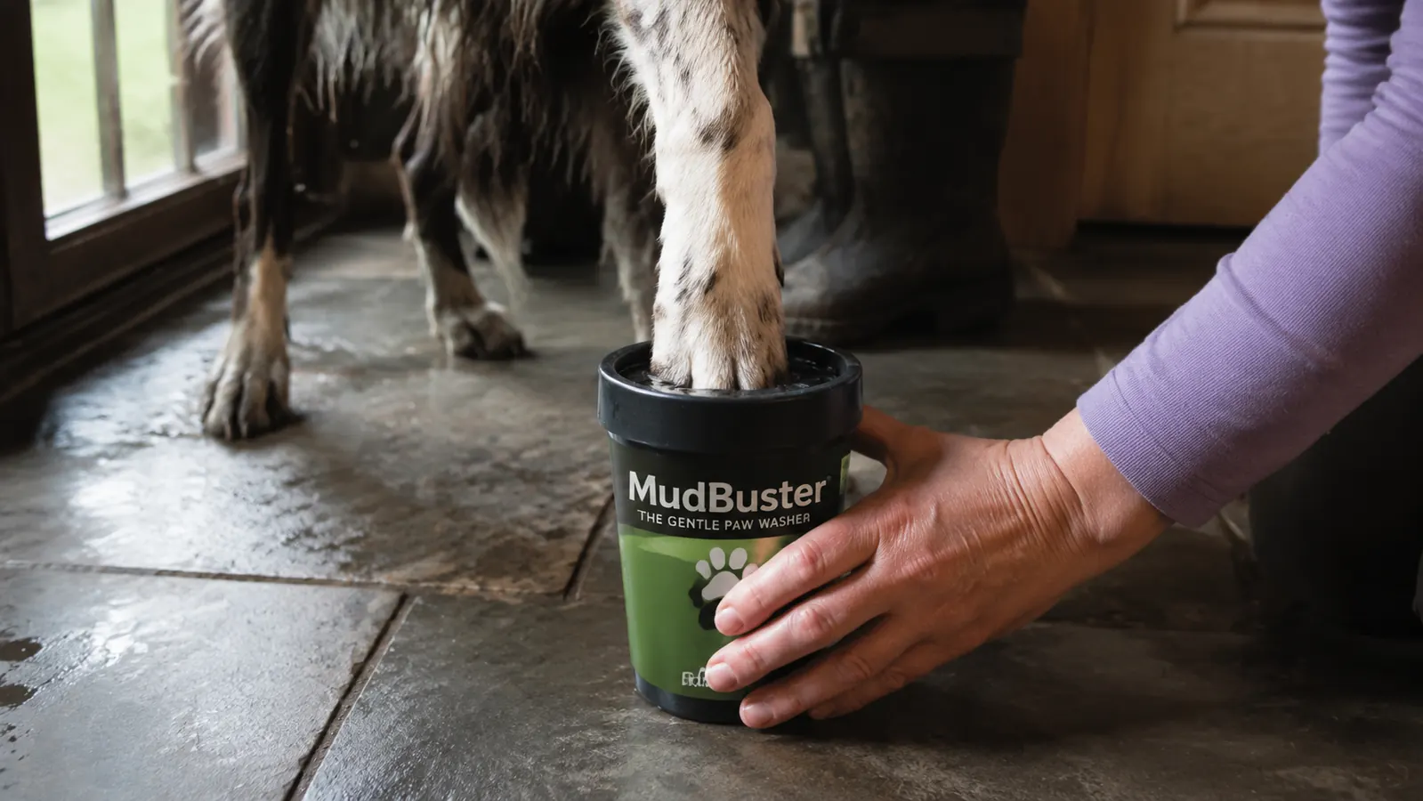 Hand holding a muddy dog paw over a black silicone paw-cleaning cup by a mudroom door